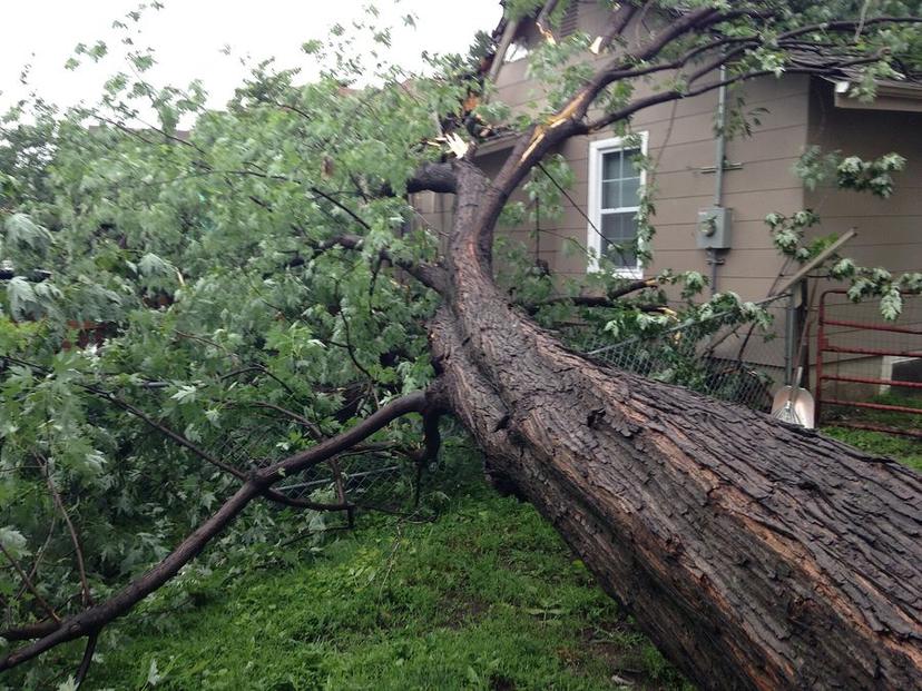 Storm Damage & 24h Emergency