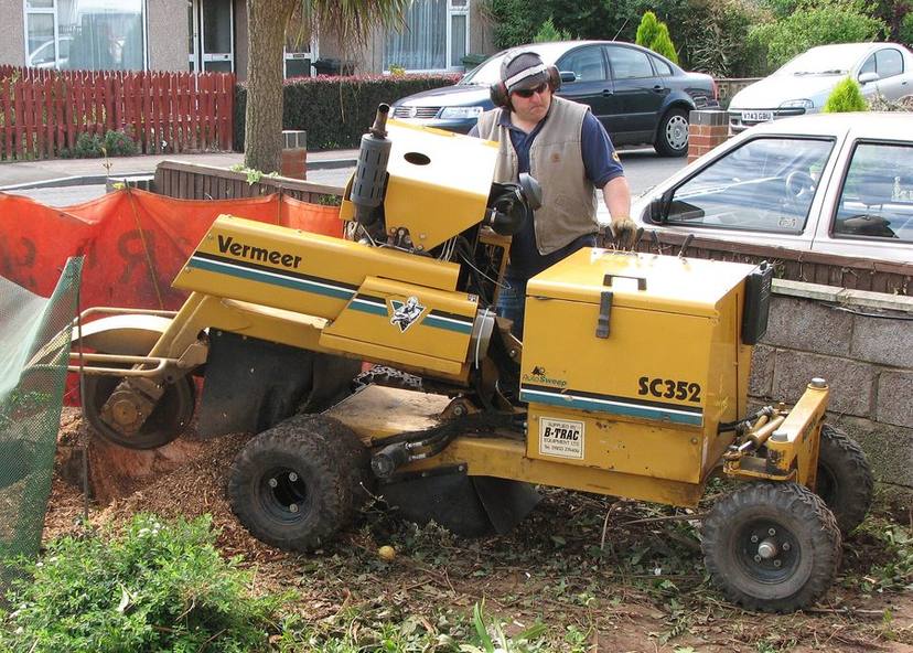 Stump Grinding