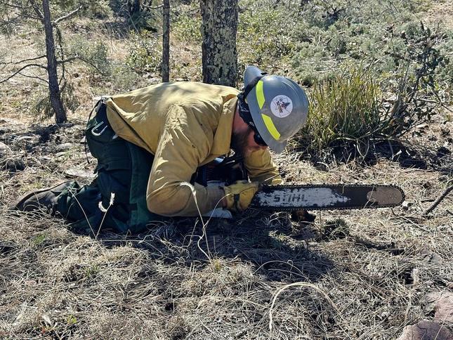 Fire Mitigation