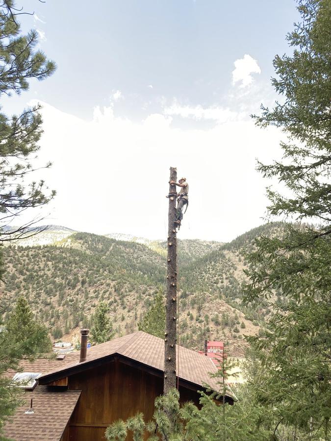 Lowering a trunk section near a mountain home