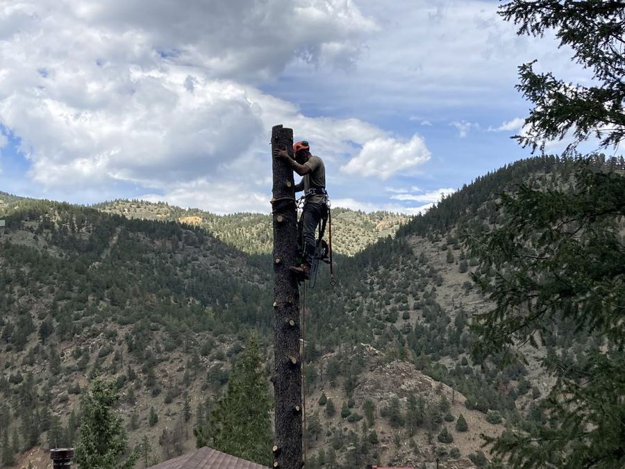 Climber taking down a spar in the foothills